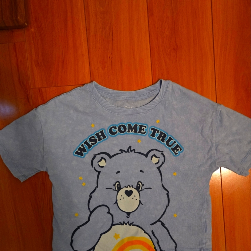 Grumpy Care Bears cropped top